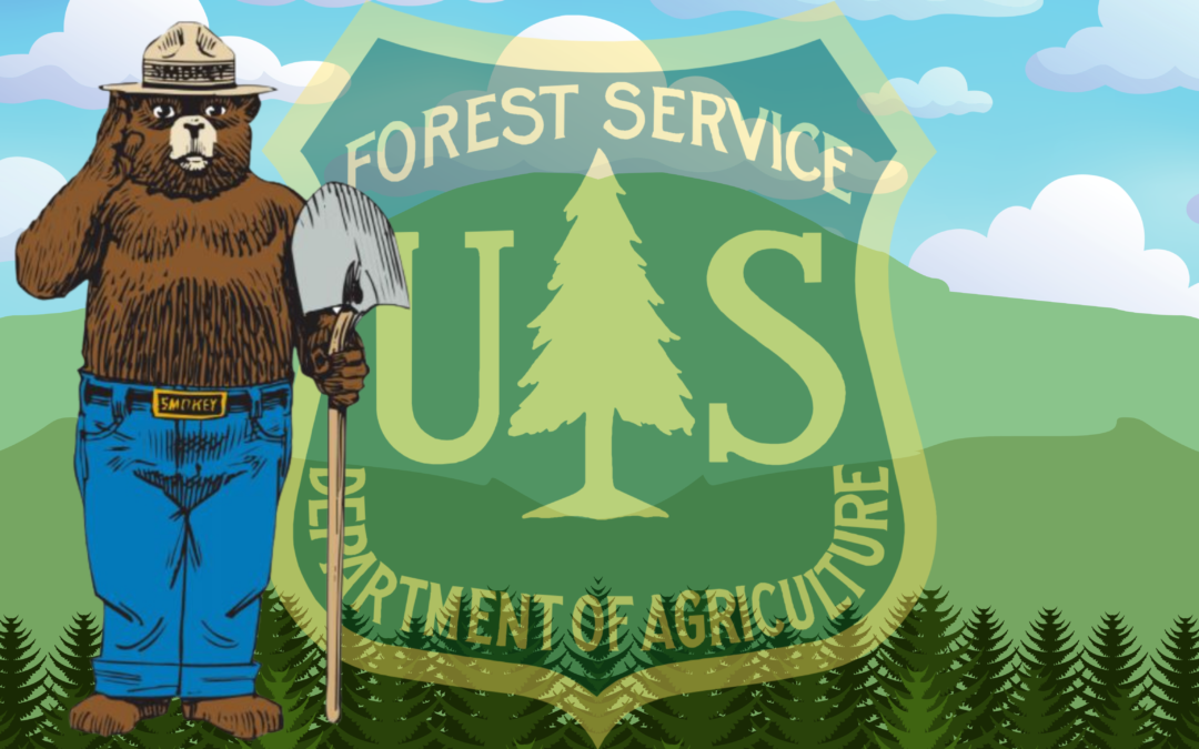 GREENLIGHT COLLECTIBLES INKS LICENSING AGREEMENT WITH SMOKEY BEAR